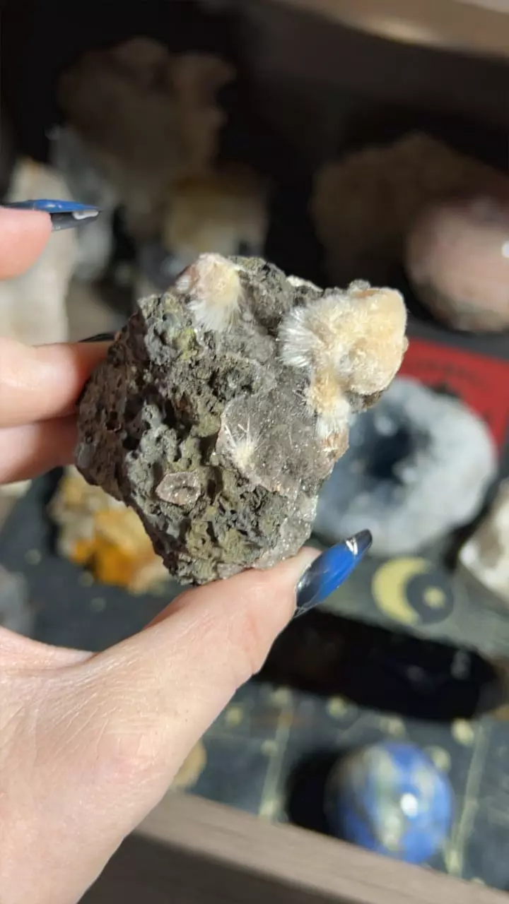 plant/Thomsonite Mesolite-0