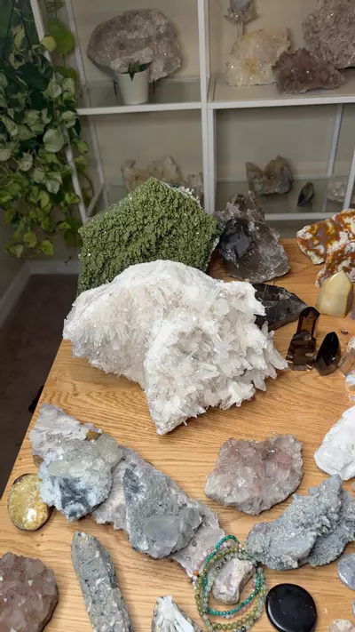 plant/Columbian Lemurian 1100-0-thumbnail