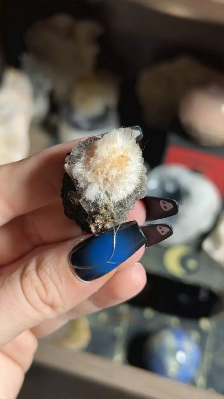 plant/Thomsonite Mesolite-0