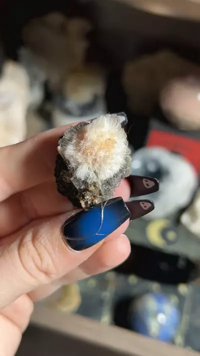 plant/Thomsonite Mesolite-0-thumbnail