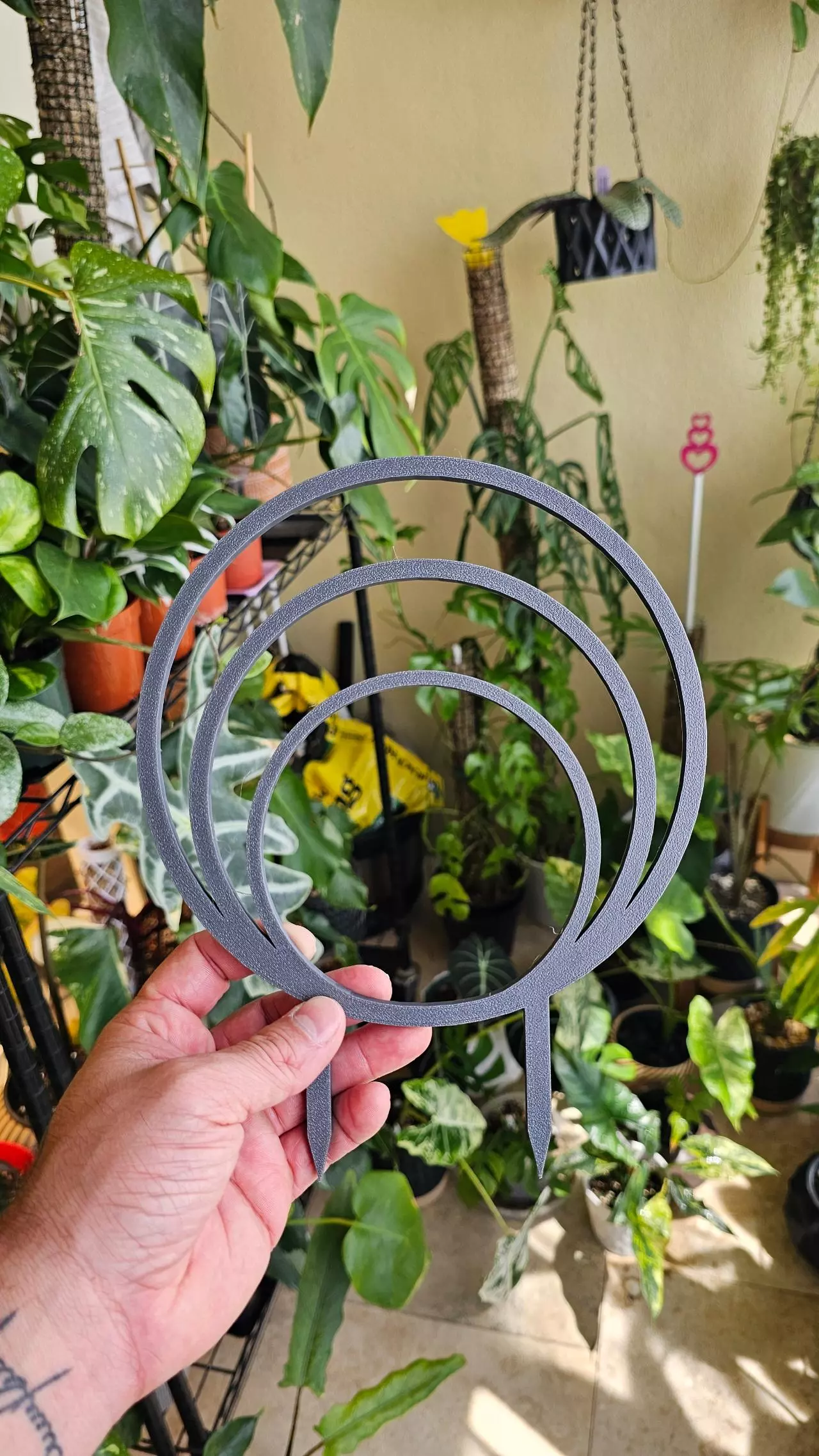 plant/BLACK FRIDAY DEAL - CUSTOM 3pk Trellis-0