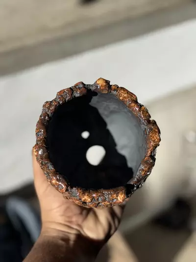 plant/Tiger 4.5x4.5-1-thumbnail