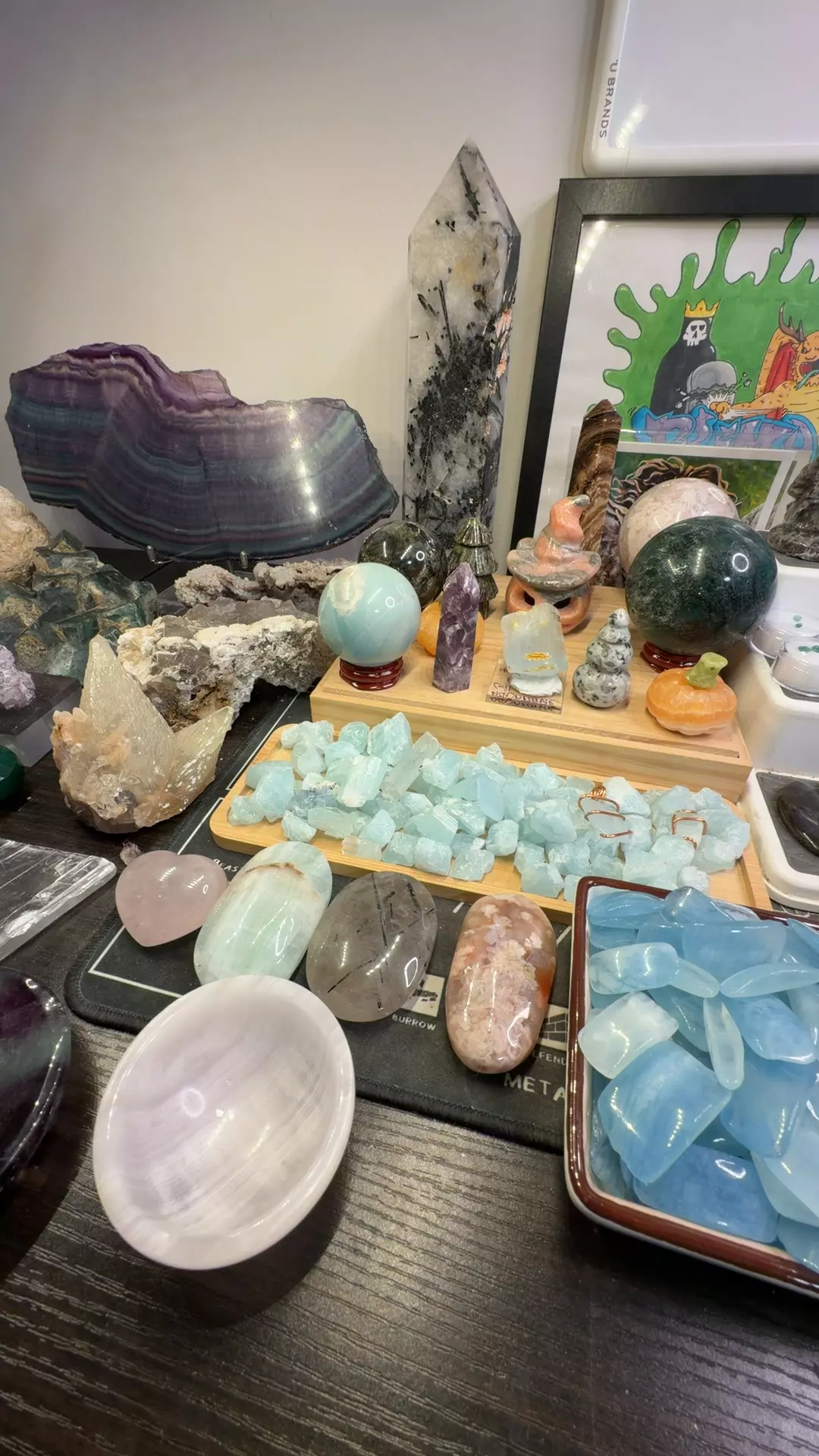 plant/Holiday mystery bundle-0