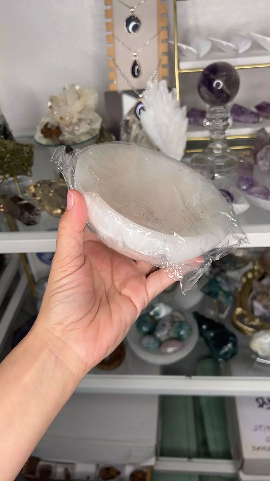 plant/6inch Bowl $35-0