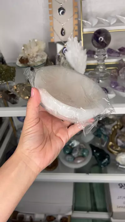 plant/6inch Bowl $35-0-thumbnail