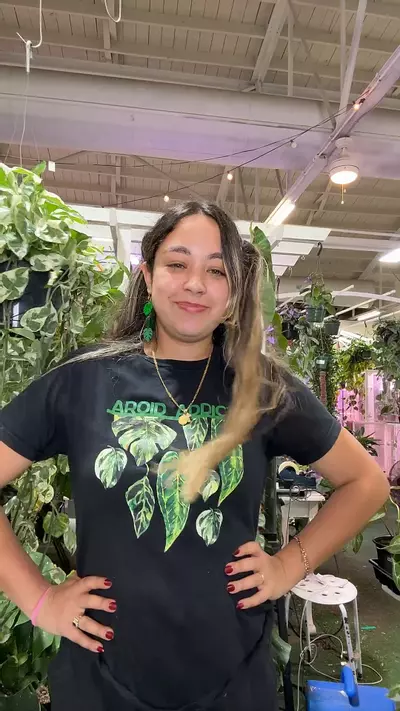 plant/AROID ADDICT BLACK-0-thumbnail