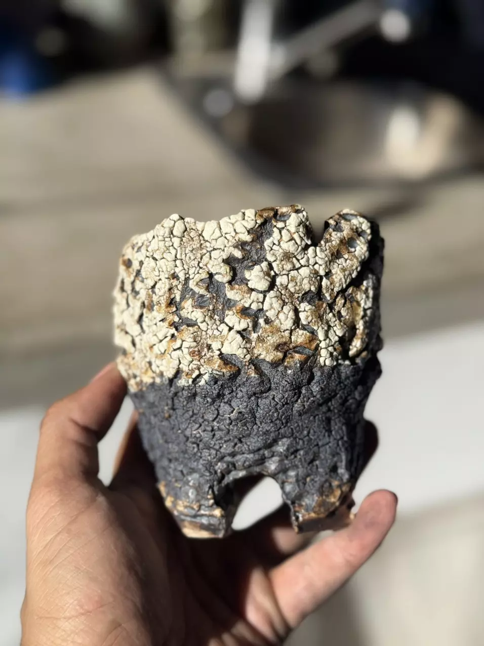 plant/Transition footed 4x4.25H-0