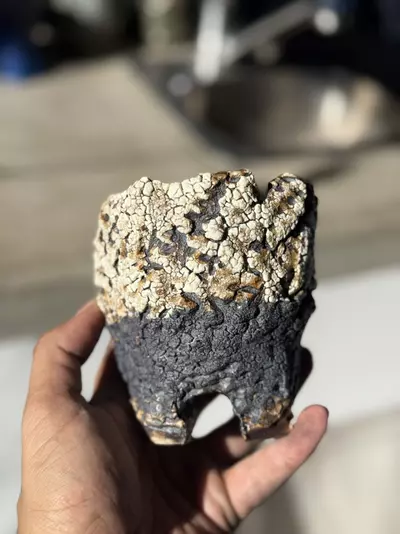 plant/Transition footed 4x4.25H-0-thumbnail