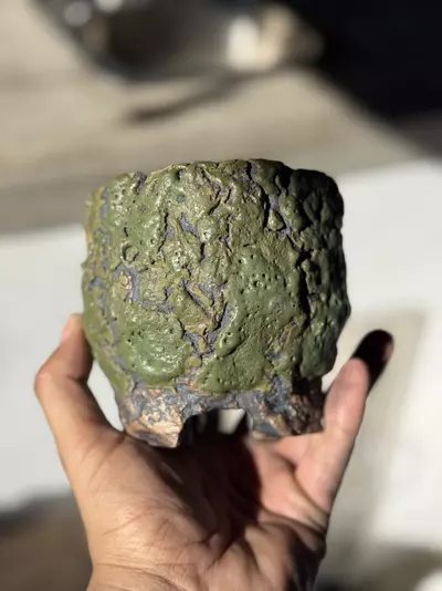 plant/Green crater footed 4x4-0-thumbnail