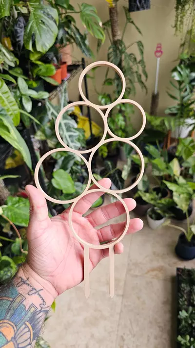 plant/BLACK FRIDAY DEAL - CUSTOM 3pk Trellis-1-thumbnail