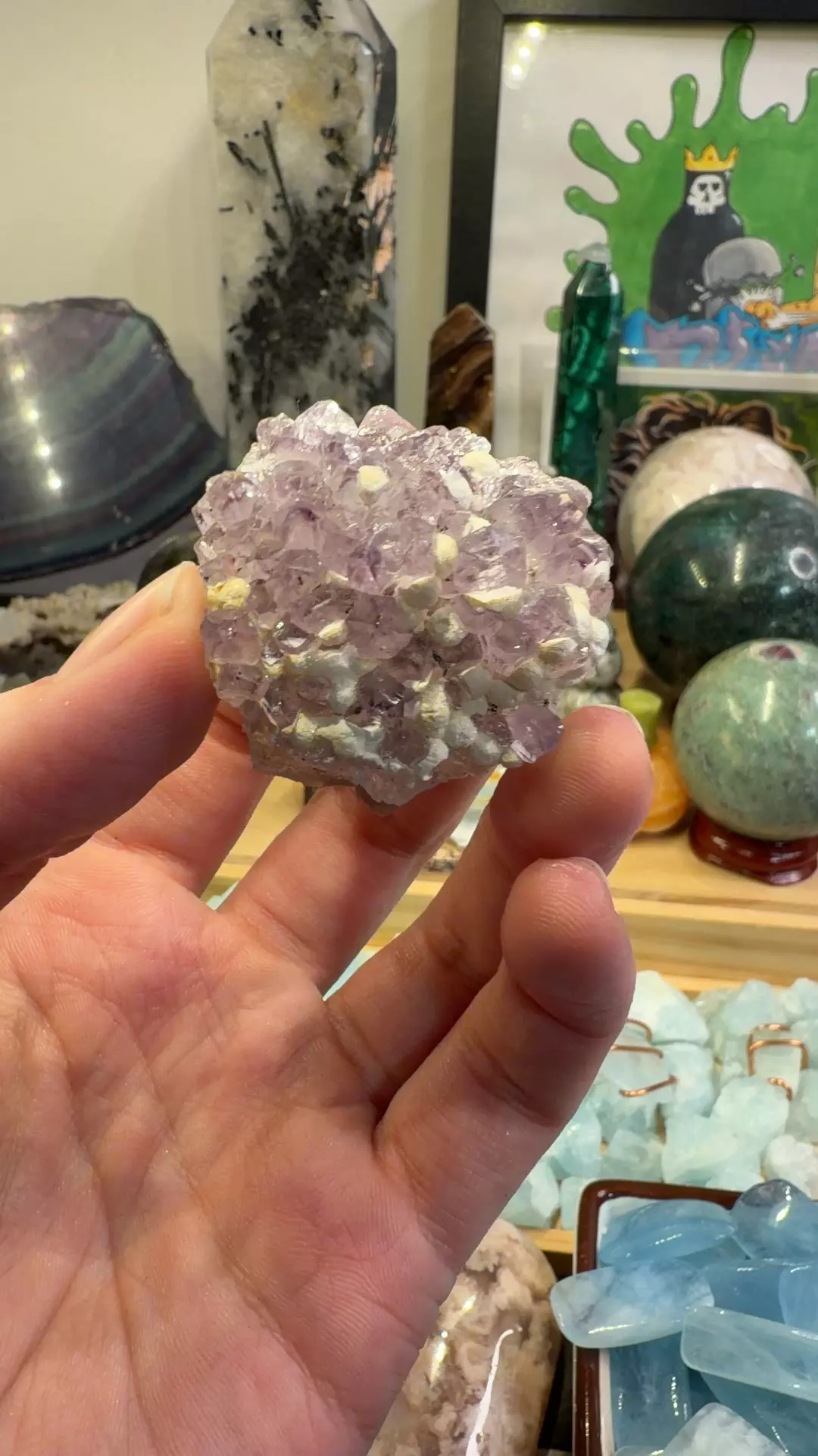 plant/Amethyst Cluster-0