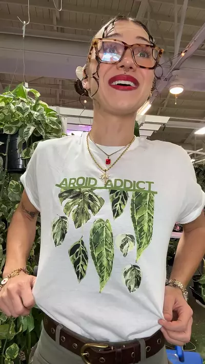 plant/AROID ADDICT WHITE-0-thumbnail