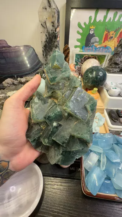 plant/Green Uv fluorite-0-thumbnail