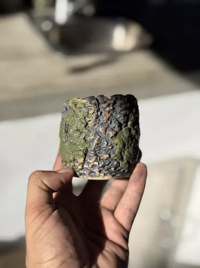 plant/Green crater 2.75x3H-0-thumbnail