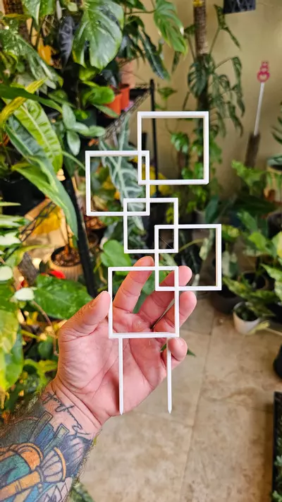 plant/BLACK FRIDAY DEAL - CUSTOM 3pk Trellis-2-thumbnail