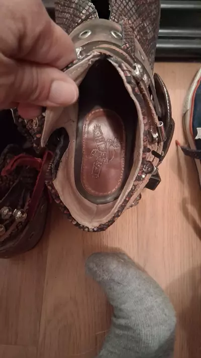 plant/Free bird Saloon-3-thumbnail