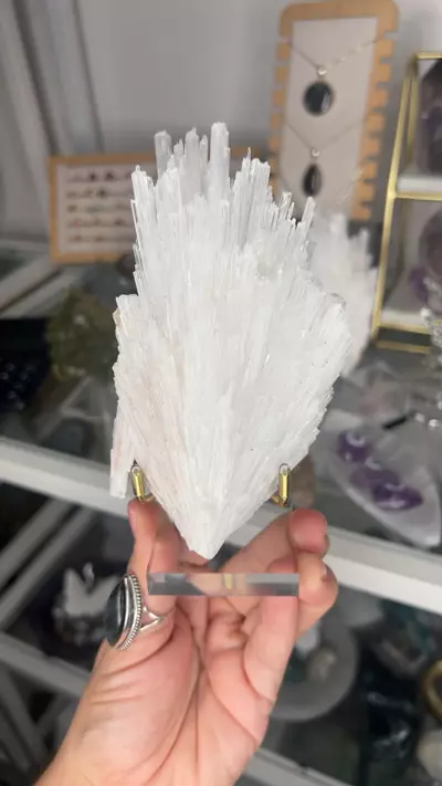 plant/Scolecite Spray On Stand-0-thumbnail