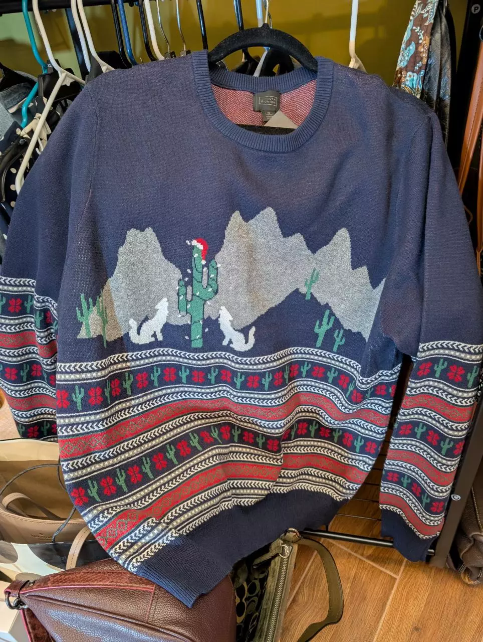 plant/Arizona Christmas Sweater Men's XL-0