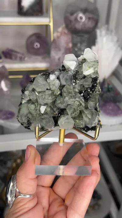 plant/Epidote Quartz 194-0-thumbnail