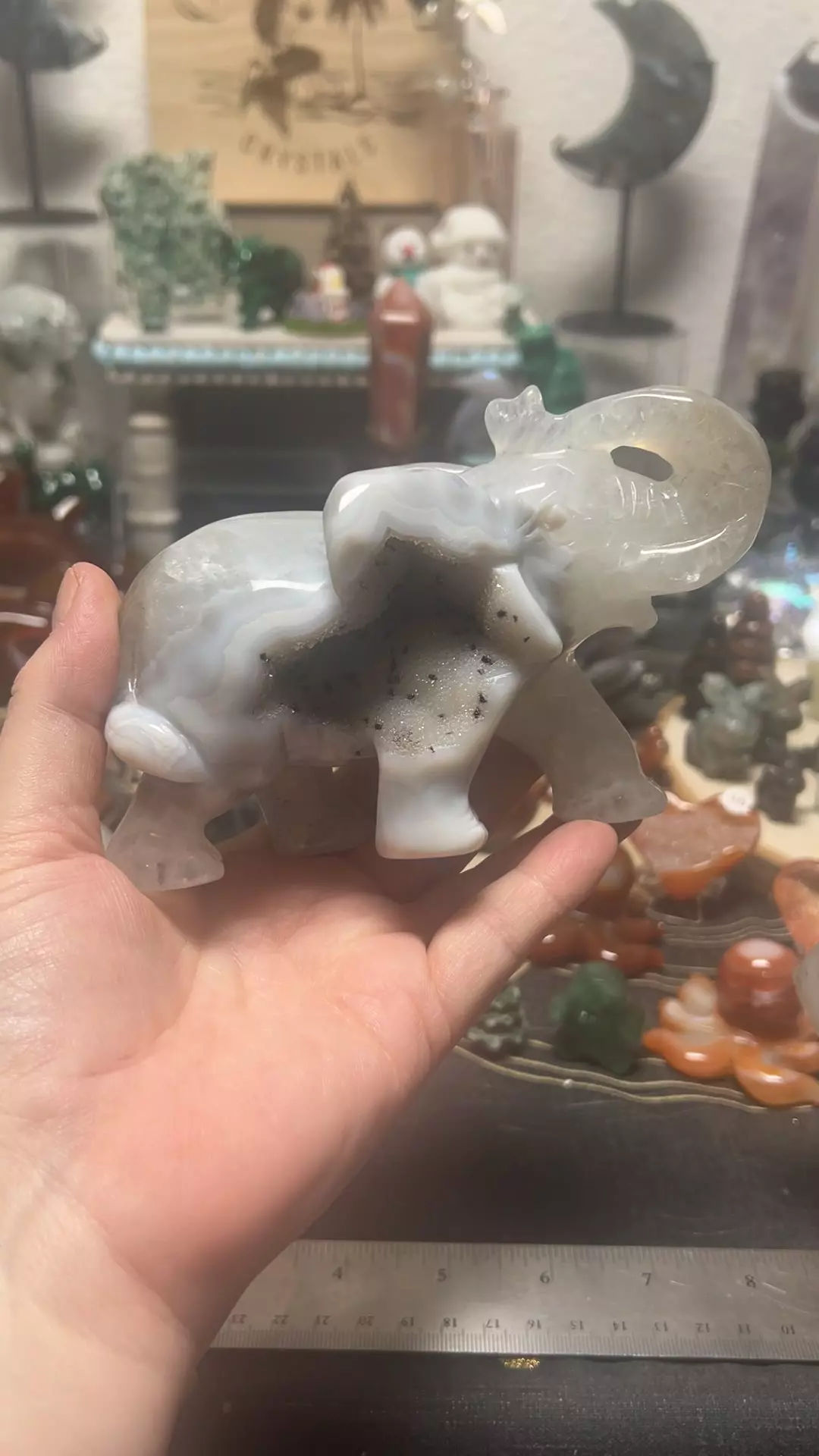 plant/$185| Druzy Agate Statement Elephant 5” 1.5lbs-0
