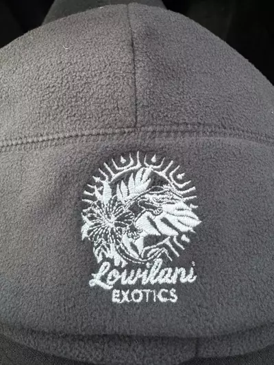 plant/Lowilani beanie-0-thumbnail