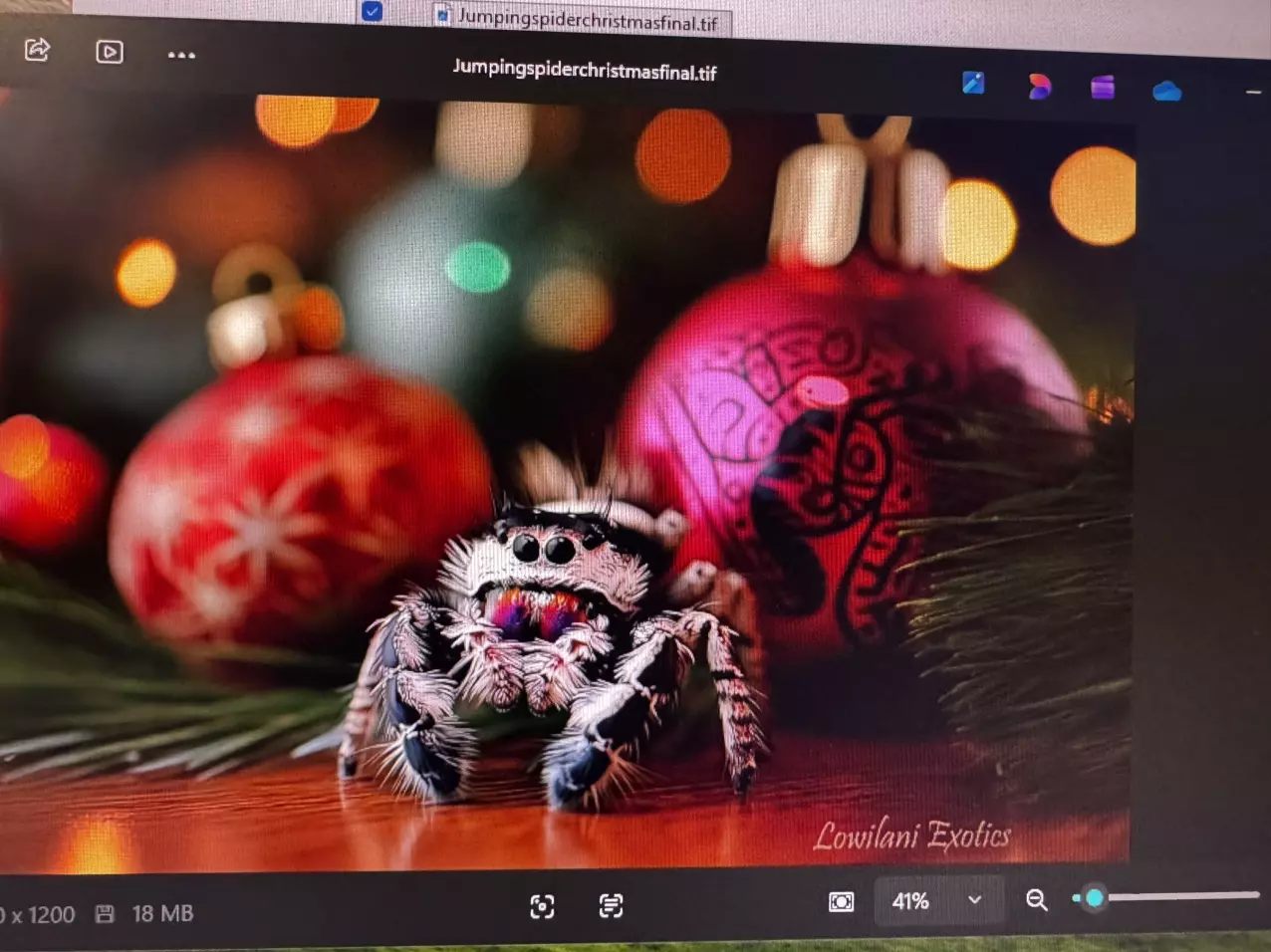 plant/Christmas cards 3 x-5