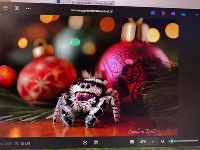 plant/Christmas cards 3 x-5-thumbnail