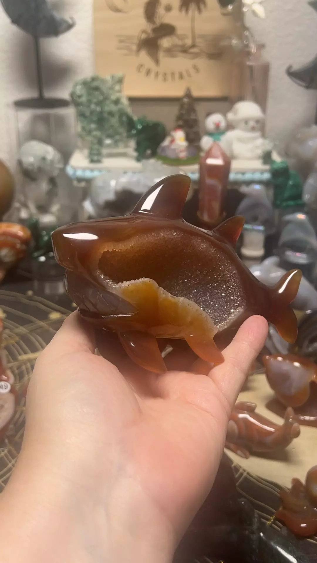 plant/$160| Druzy Carnelian Statement Shark 5” 1lb-0