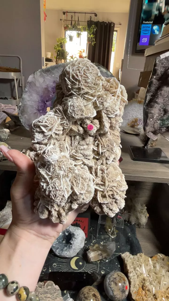 plant/Desert Rose Cluster-0