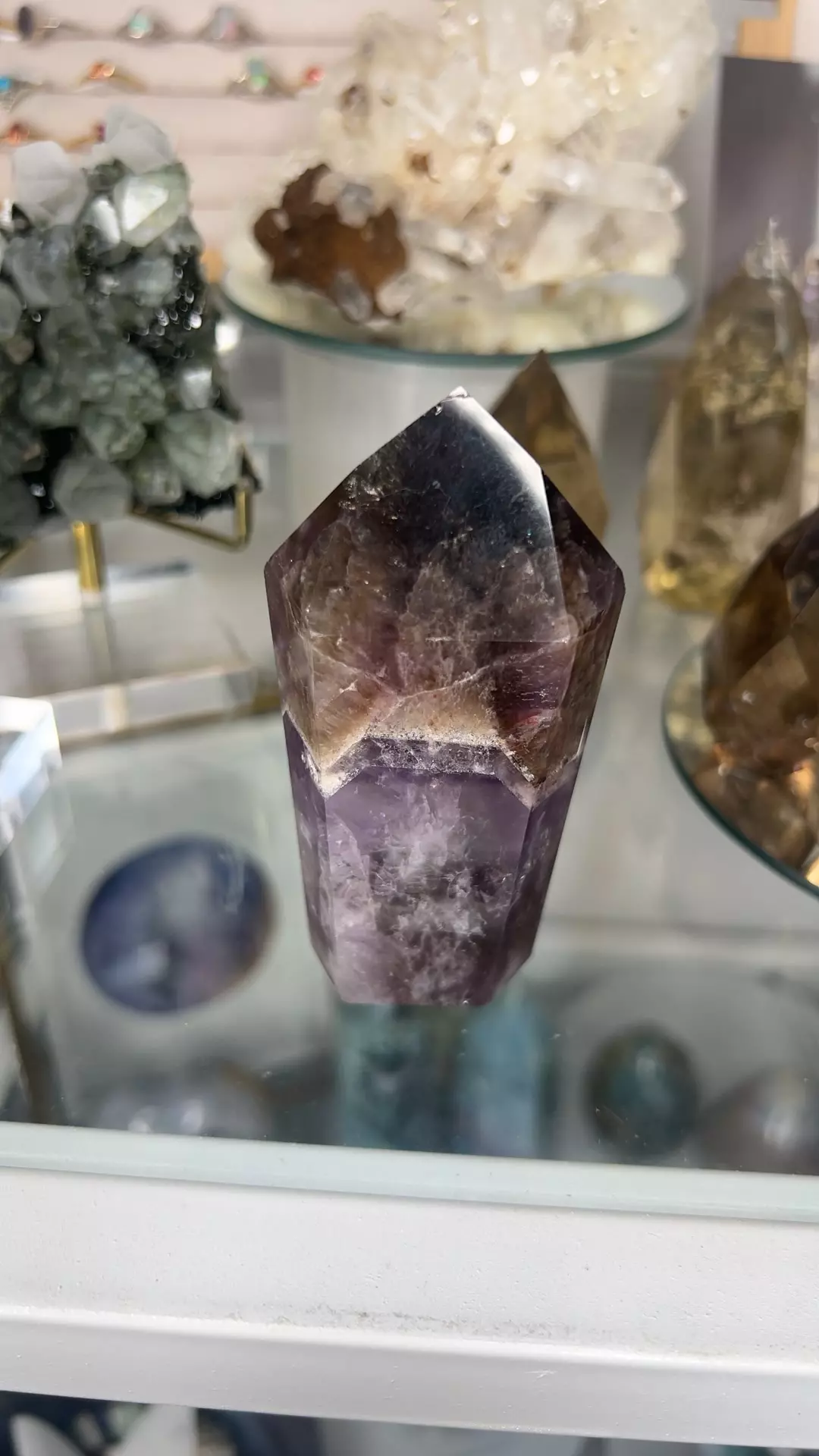 plant/Super 7 point-0