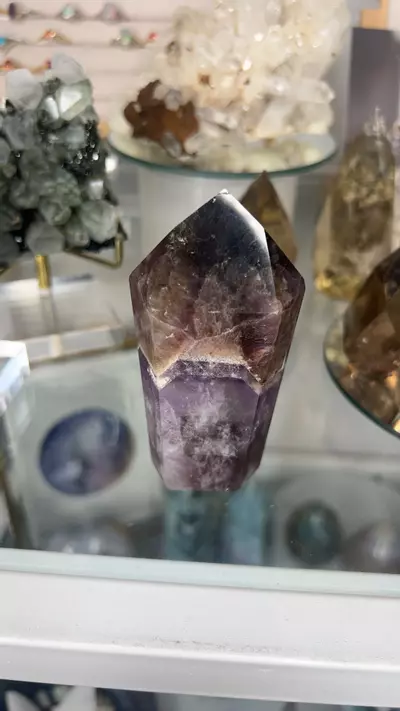 plant/Super 7 point-0-thumbnail