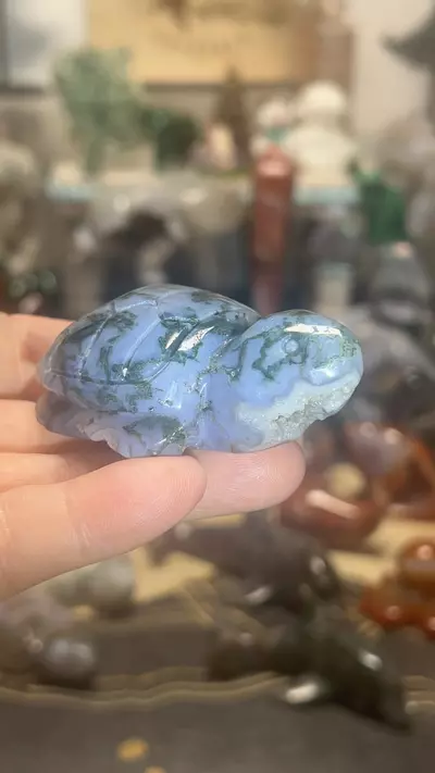 plant/$30| Druzy Moss Agate Turtle-0-thumbnail