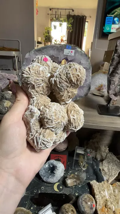 plant/Desert Rose Cluster-0-thumbnail