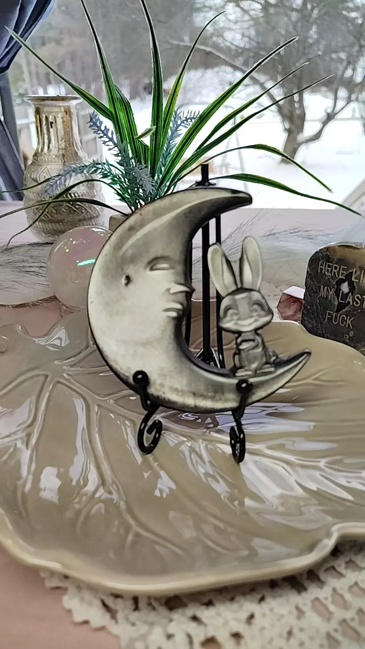 plant/silver Sheen Obsidian Moon Bunny with holder-0