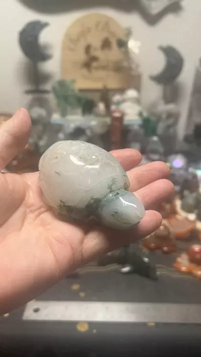 plant/$42| Druzy Moss Agate Turtle b-0-thumbnail