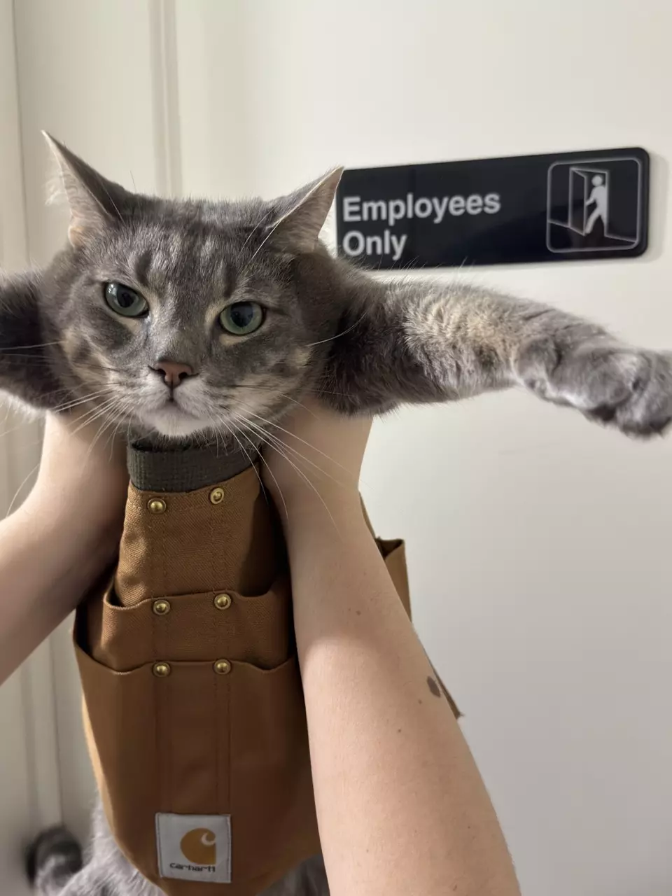 plant/HOLD SHIPPING-0