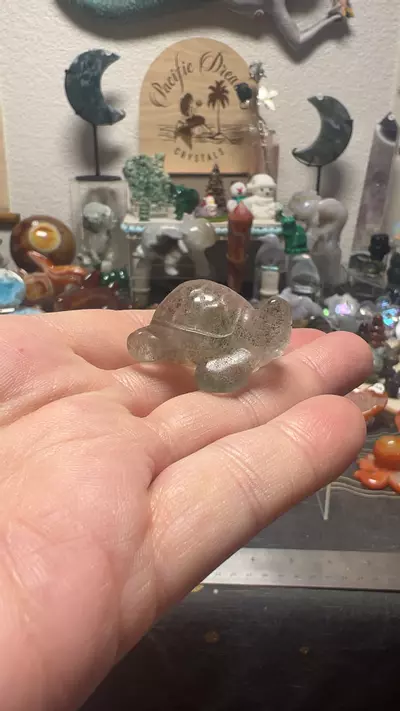 plant/$12| Garden Quartz Sea Turtle a-0-thumbnail