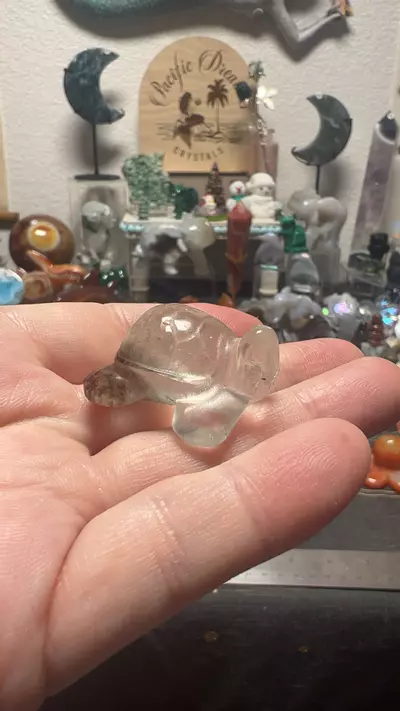 plant/$12| Garden Quartz Sea Turtle b-0-thumbnail