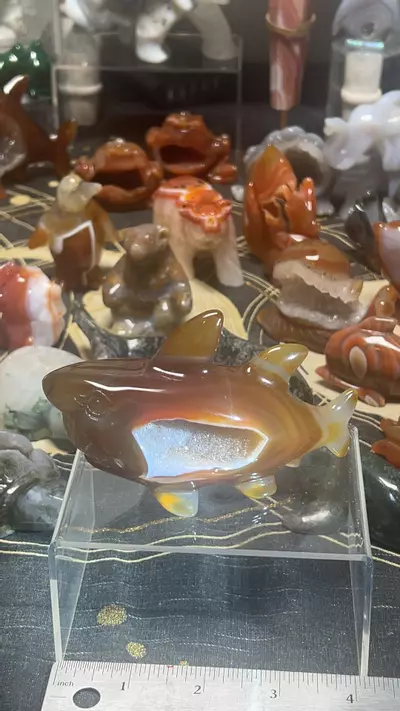 plant/$64~ Druzy Carnelian Shark 4”-0-thumbnail