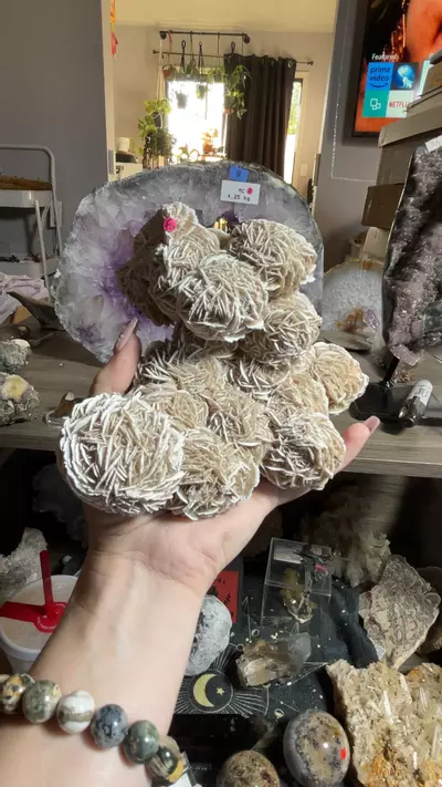 plant/Desert Rose Cluster-0-thumbnail