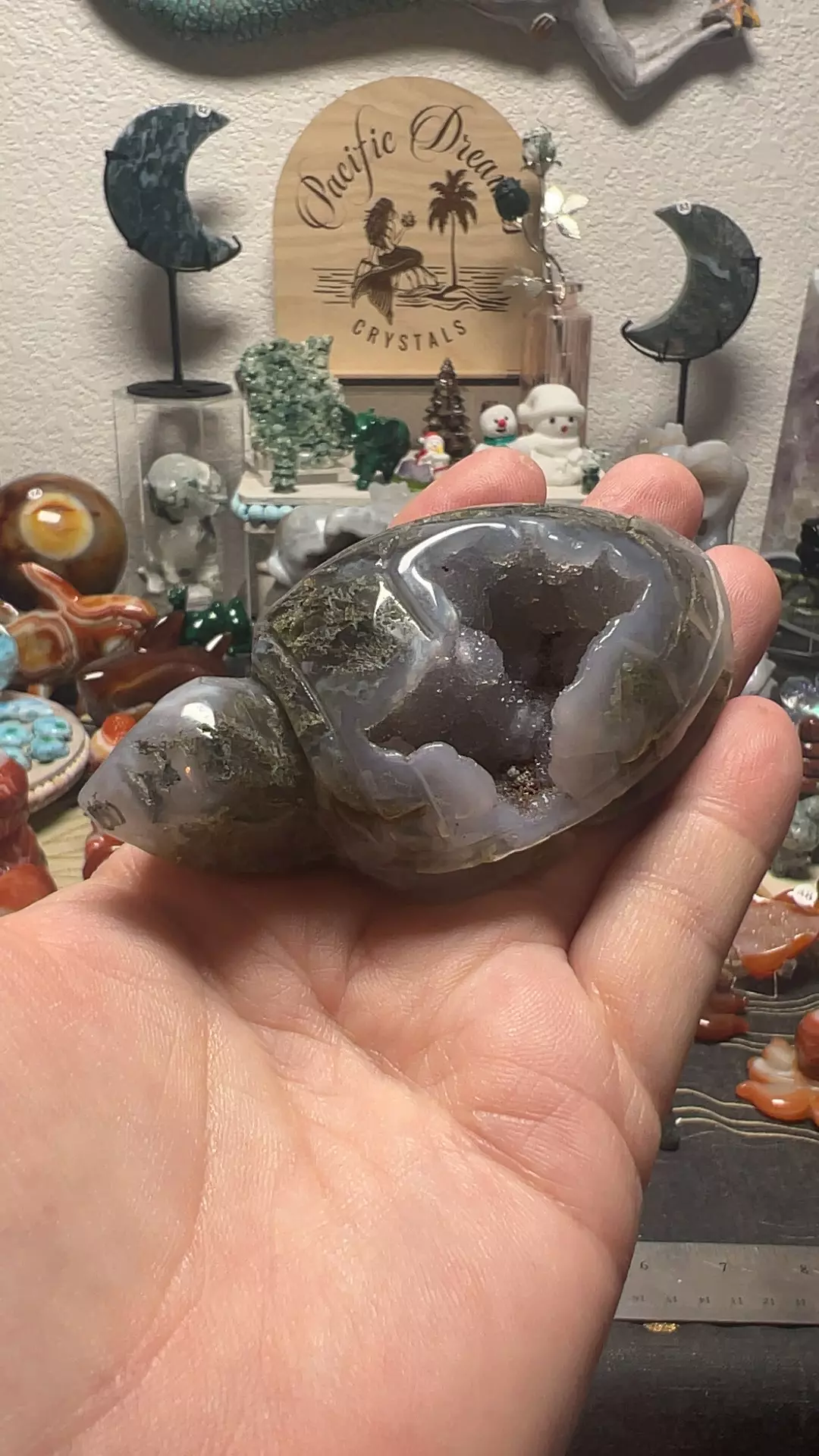 plant/$42| Druzy Moss Agate Turtle a-0