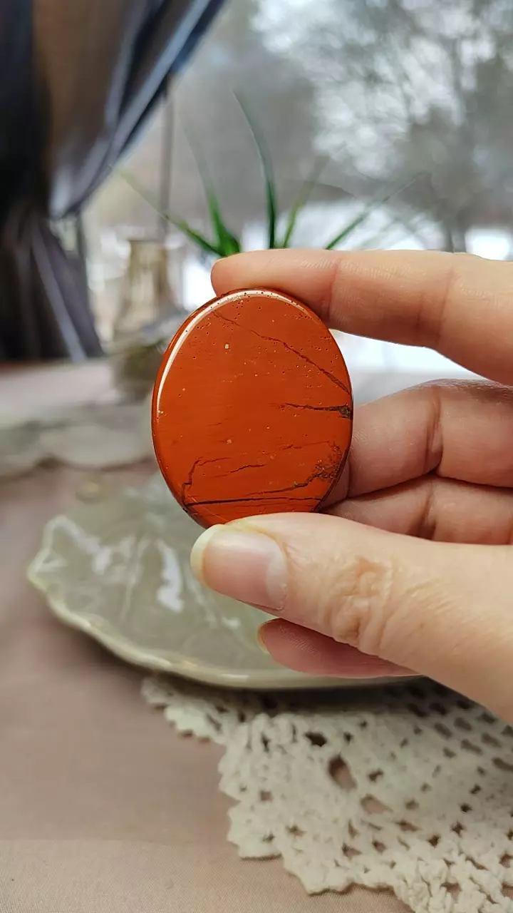 plant/Red Jasper palm #2-0