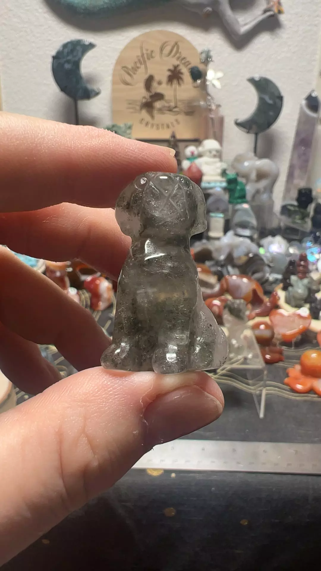 plant/$12| Garden Quartz Dog-0