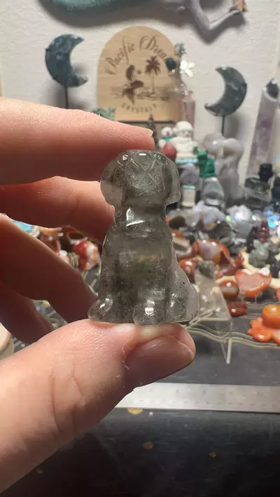 plant/$12| Garden Quartz Dog-0-thumbnail