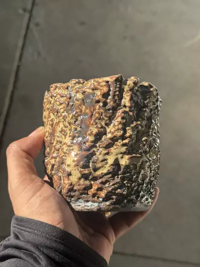 plant/Shino 4.25x4.25-0-thumbnail