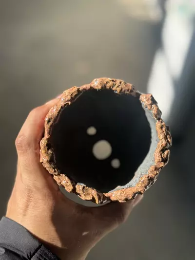 plant/Pink panther 4x4-1-thumbnail