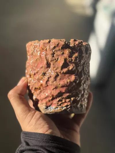 plant/Pink panther 4x4-0-thumbnail