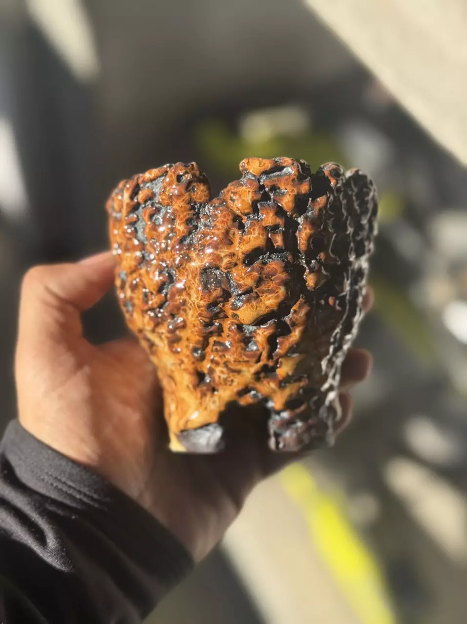 plant/Tiger footed 4x4-0