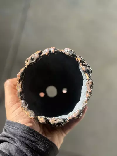 plant/Shino 4.25x4.25-1-thumbnail