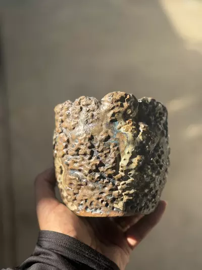 plant/Muddy 5x4.25H-0-thumbnail